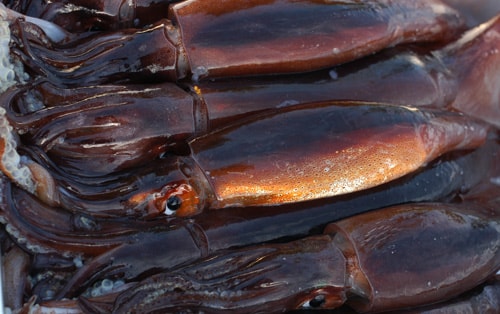 イカの切り方はこれで完ペキ！下処理とさまざまな切り方を写真付きで解説 - トクバイニュース