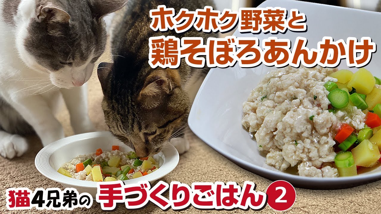 猫さんの手作りごはん！No.14 鶏肉とごぼうのキッシュ風