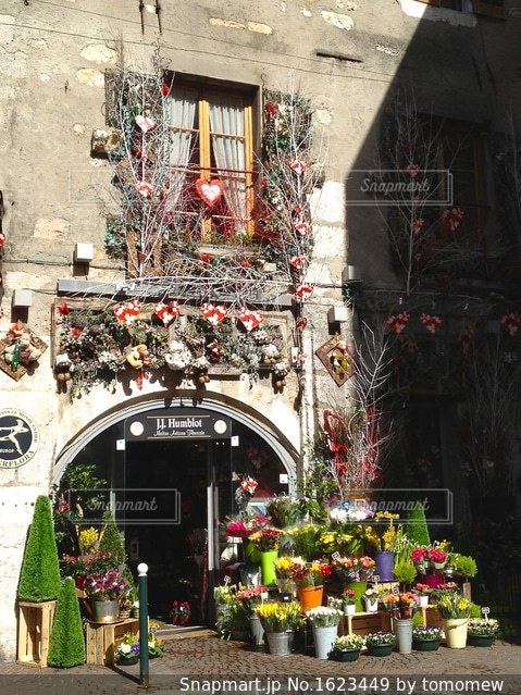 目指したのは、パリの街角にある花屋さん「la France ラ・フランス 」暮らしとおしゃれの編集室