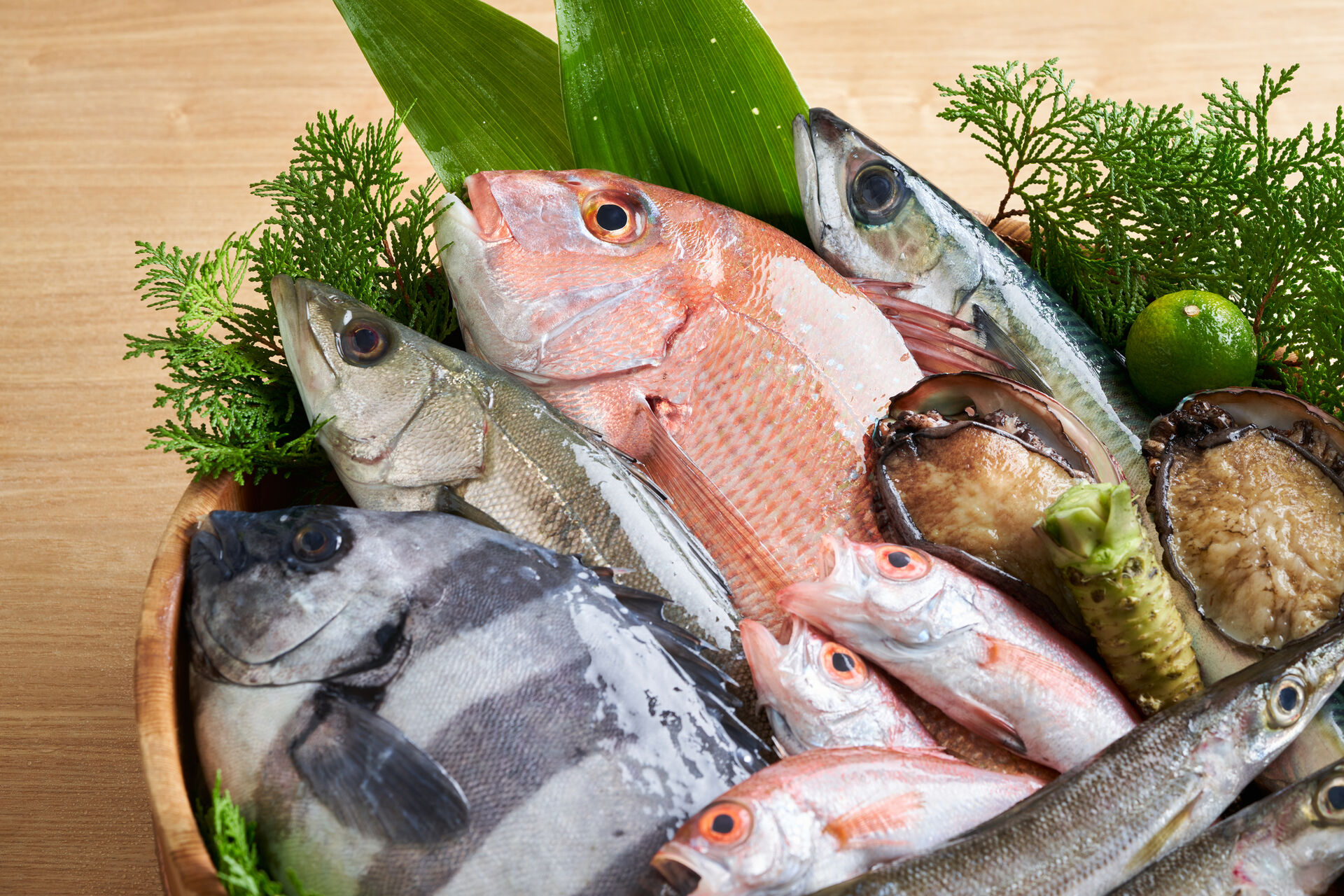 お店の詳細はこちら👇 久しぶりに通った道路沿いに 新しいお店が出来てたから寄ってみた😊 地図にまだないお店✨✨ 今年の3月頃から始められたお店で気さくな店主と家族さんでされてるみたい😊 仕込みにこだわり、 熟成タレに付け込んだ唐揚げは パンチが効いててご飯が