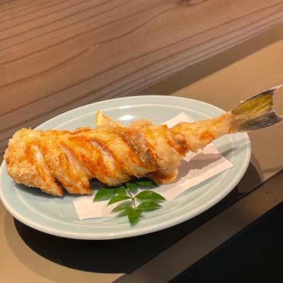 居酒屋 十魚八 - 高岡 居酒屋食べログ