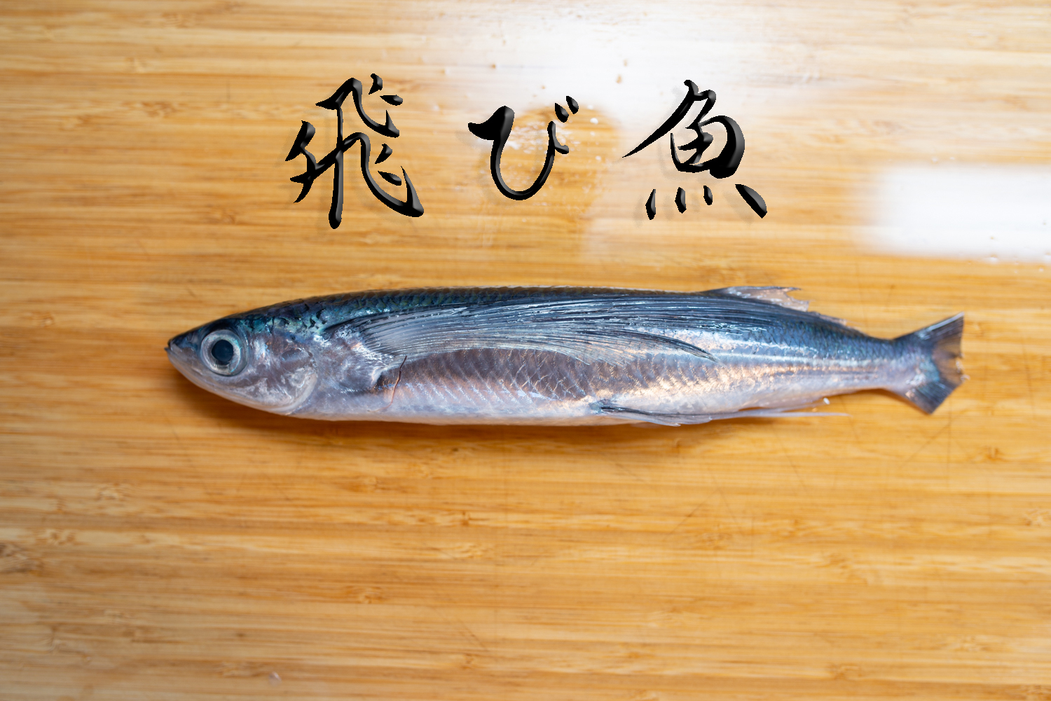 トビウオの刺身 島根県うちの郷土料理：農林水産省