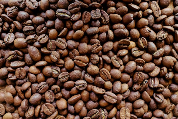 コーヒーのかすを肥料に再利用！ 5つの正しい使い方を伝授ELLE gourmetエル・グルメ