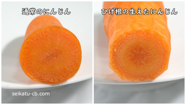 ひげ根の生えた人参これ食べれるの？実際に食べて見たら意外な事実が！生活知恵袋