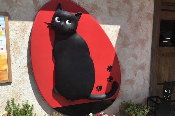 猫好きにおすすめのケーキ屋さん特集2025 年のリアルなLemon8ユーザー体験