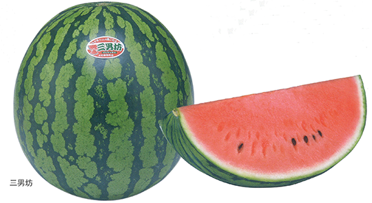 JAきくち『大玉スイカ 品種：春のだんらん 』熊本県産 秀 3L 1玉 約8kg 簡易箱 ※冷蔵豊洲市場ドットコム