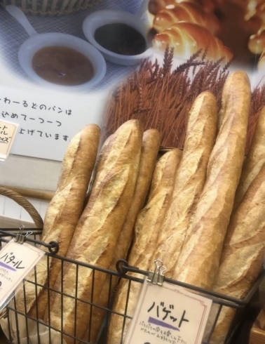 フランスパンの種類を解説バゲットとバタールの違いとは？株式会社神戸屋