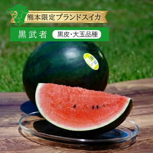 シャリッとおいしい小玉すいか「ピノ・ガール」が入荷！食べきりやすいハーフカットも 食べごろ＋特集・記事Green Beans