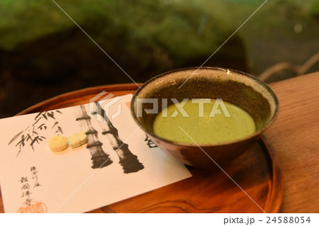 報国寺のお抹茶🍵, 都内から2時間以内の場所でこんな所に来られるなんて！,報国寺は観光地の格付けをするミシュラン・グリーンガイドで三ツ星を獲得しているお寺。, 竹林を見ながらお抹茶とお茶菓子を。,ほっとする素敵な時間でした☺️, ちなみに👇,拝観料 ：300円, 抹茶 干菓子付 ： 600円,拝観時間 ：9:00～16:00,抹茶の受付は15:30まで。,