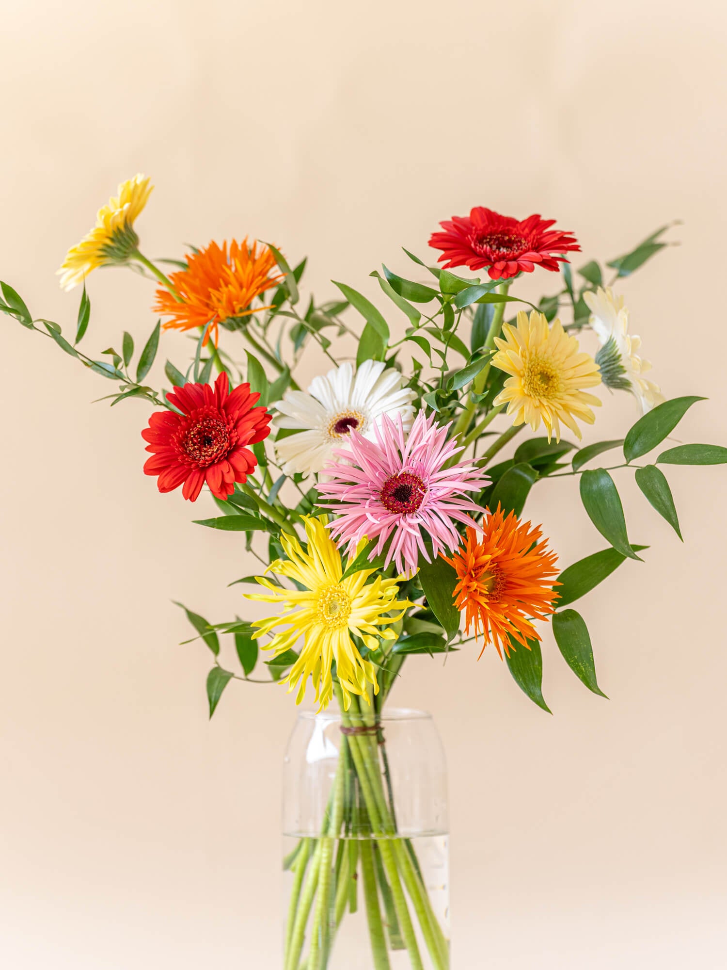 ガーベラがもつ花言葉は？意味や由来を詳しく紹介