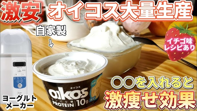 Toffy ヨーグルトメーカー K-YM1Toffy公式オンラインショップ