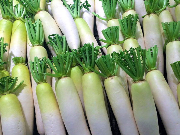 大根の中身が青い原因は？正しい保存方法もご紹介！デリッシュキッチン