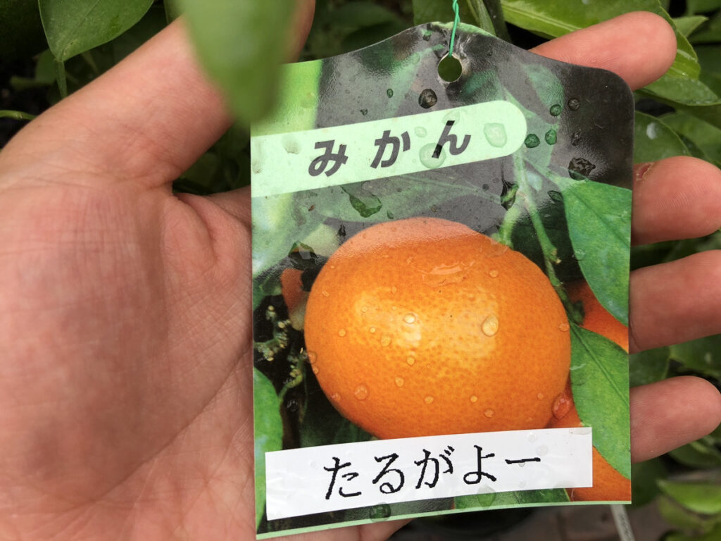 しまのやオンラインショップ