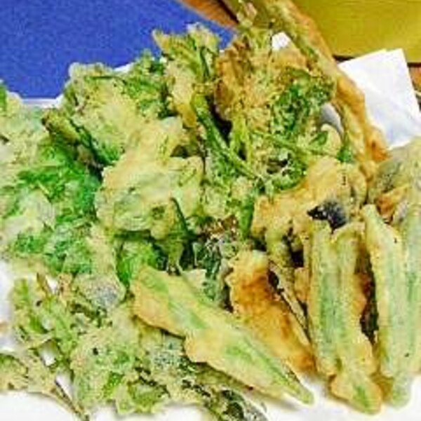 ゴールデンウィークの山菜採りでいただいてきたウドの葉っぱは、山盛り天ぷらに😋 天ぷらって、料理の仕事をするまで作ったことなくて、パパッとは作れない絶対的に難しいものだと思ってました。外で食べればいいじゃん、という考えだったんです。 でもそれは間違いだっ