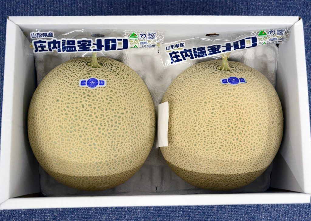 庄内砂丘メロンも最盛期。 JAそでうら – 山形県酒田市