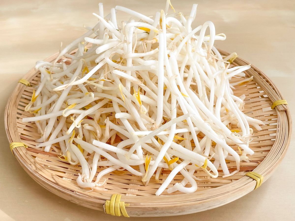もやしの茹で方と洗い方もやしの茹で時間とシャキッと感を残すコツN.D.Kitchen Basic
