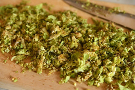 春の訪れ、ふき味噌。マツダミキヲ 料理人