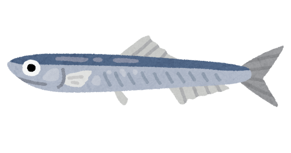 いわしイラスト無料イラスト・フリー素材なら「イラストAC」