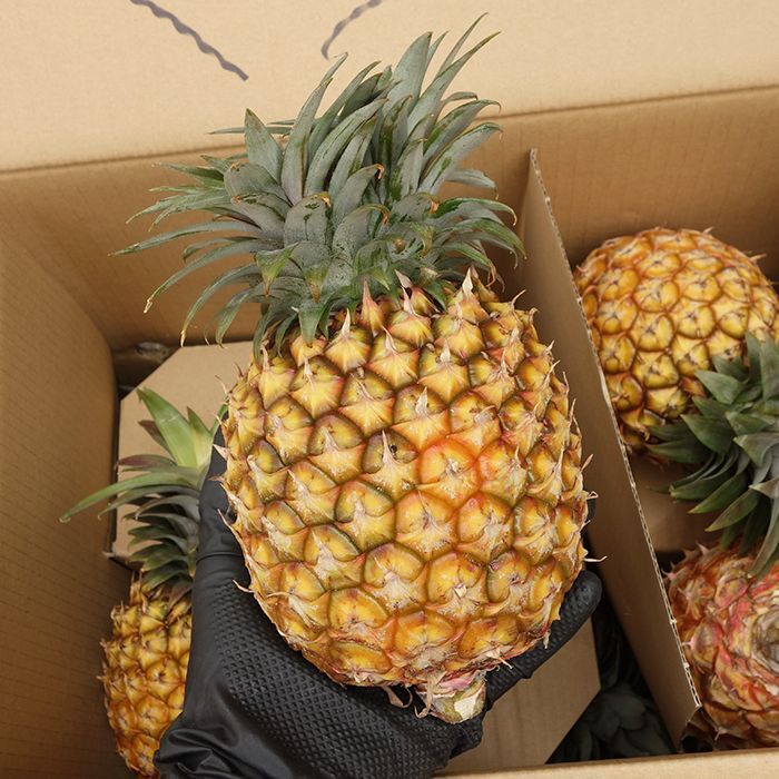 パインアップル ホワイトココくゎっちーおきなわ！沖縄食材情報サイト