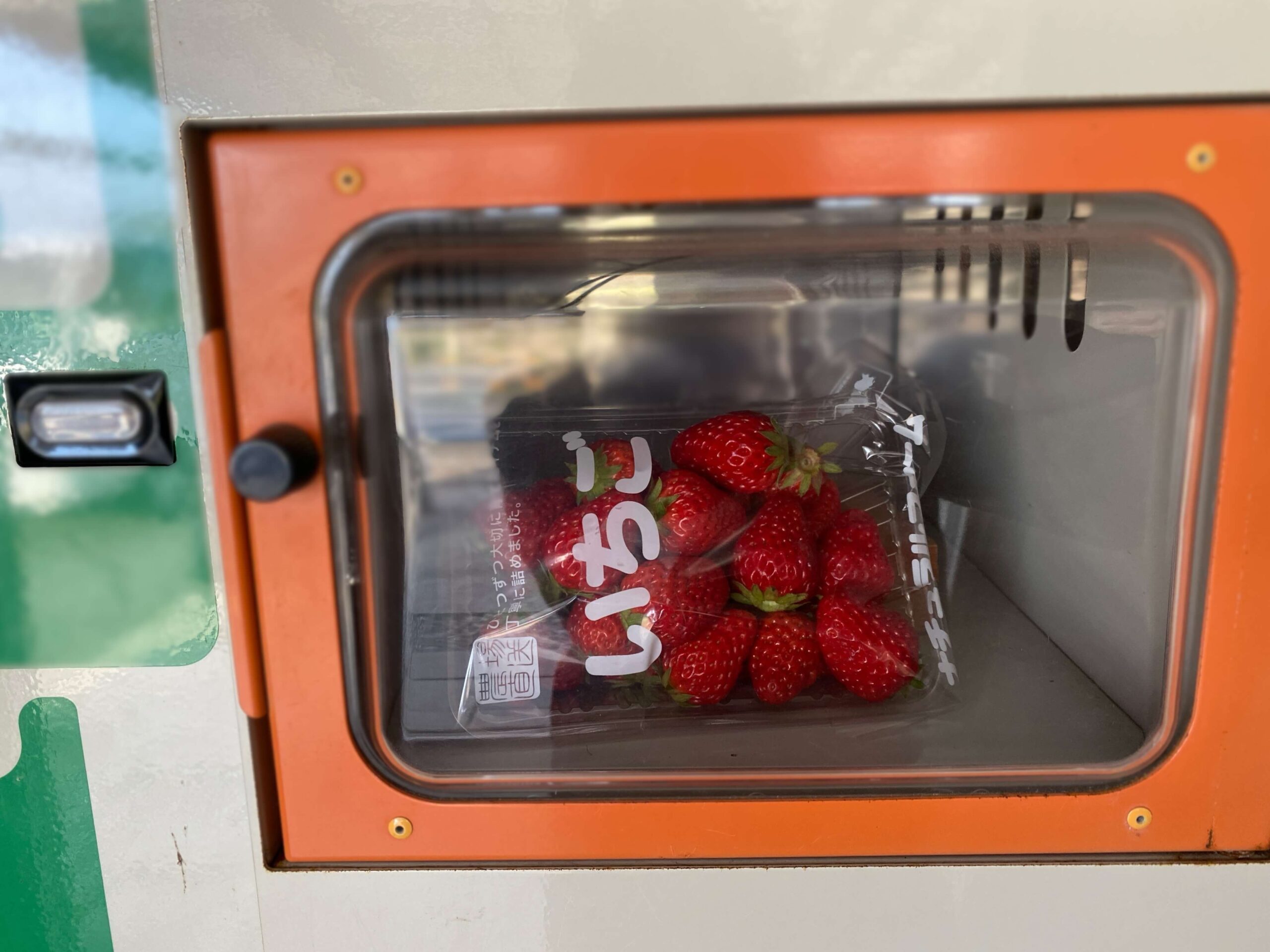 甘いイチゴおまちかね 伊賀の農園が直売所を新設：中日新聞Web