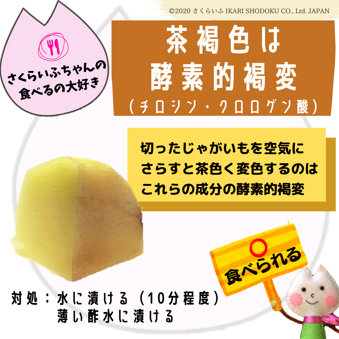 半分ジャガイモの写真素材写真素材なら「写真AC」無料 フリー ダウンロードOK