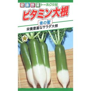 土のように真っ黒！？ 黒大根 ってどんな大根？食・料理オリーブオイルをひとまわし