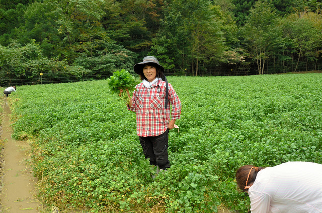 楽天市場 宮崎県高鍋産有機栽培クレソン大容量・量売り 200g入り ×3袋 : 甦る大地の会 楽天市場店