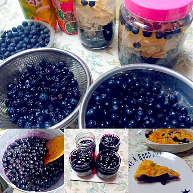 ブルーベリー大量消費記録🫐 - YouTube