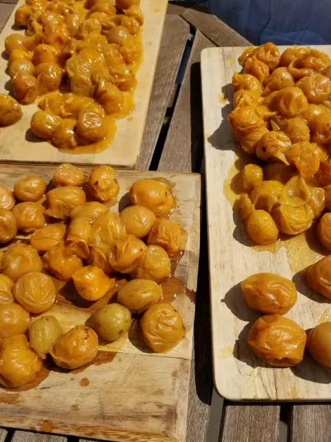 もみ紫蘇 赤しそが出まわる季節に沢山作って保存しよう！梅干しだけじゃない、あると便利なもみ紫蘇の作り方