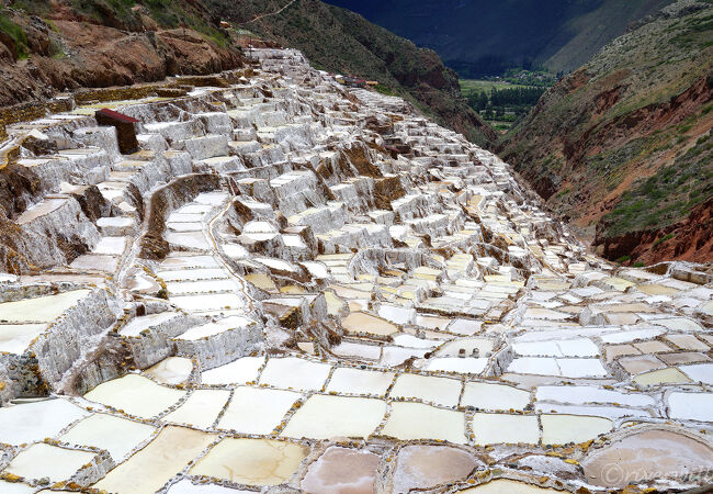 忘れてたドライブの楽しさを思い出す：マラス塩田プランＣ