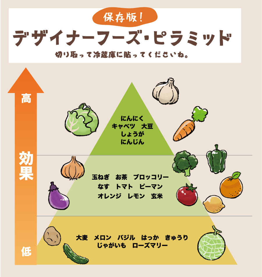 デザイナーズフーズピラミッドCUA キュア 旧キャリアQアップアカデミ