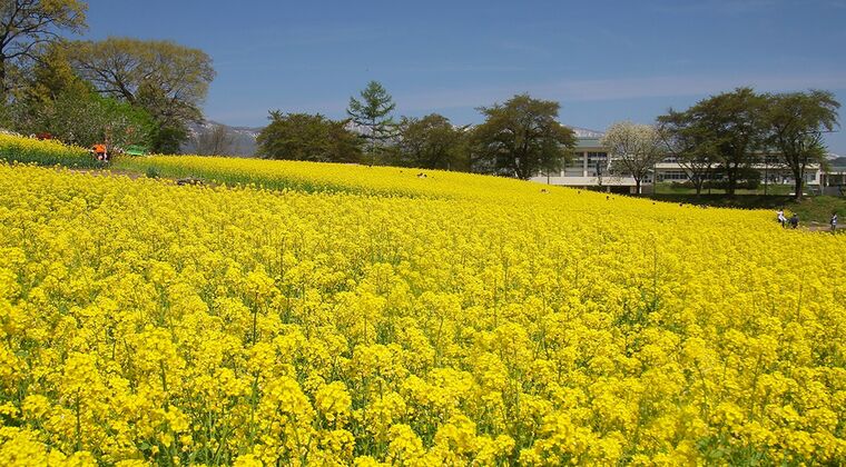 KURA花の宝庫・長野県で愉しむ「信州花ツーリズム」
