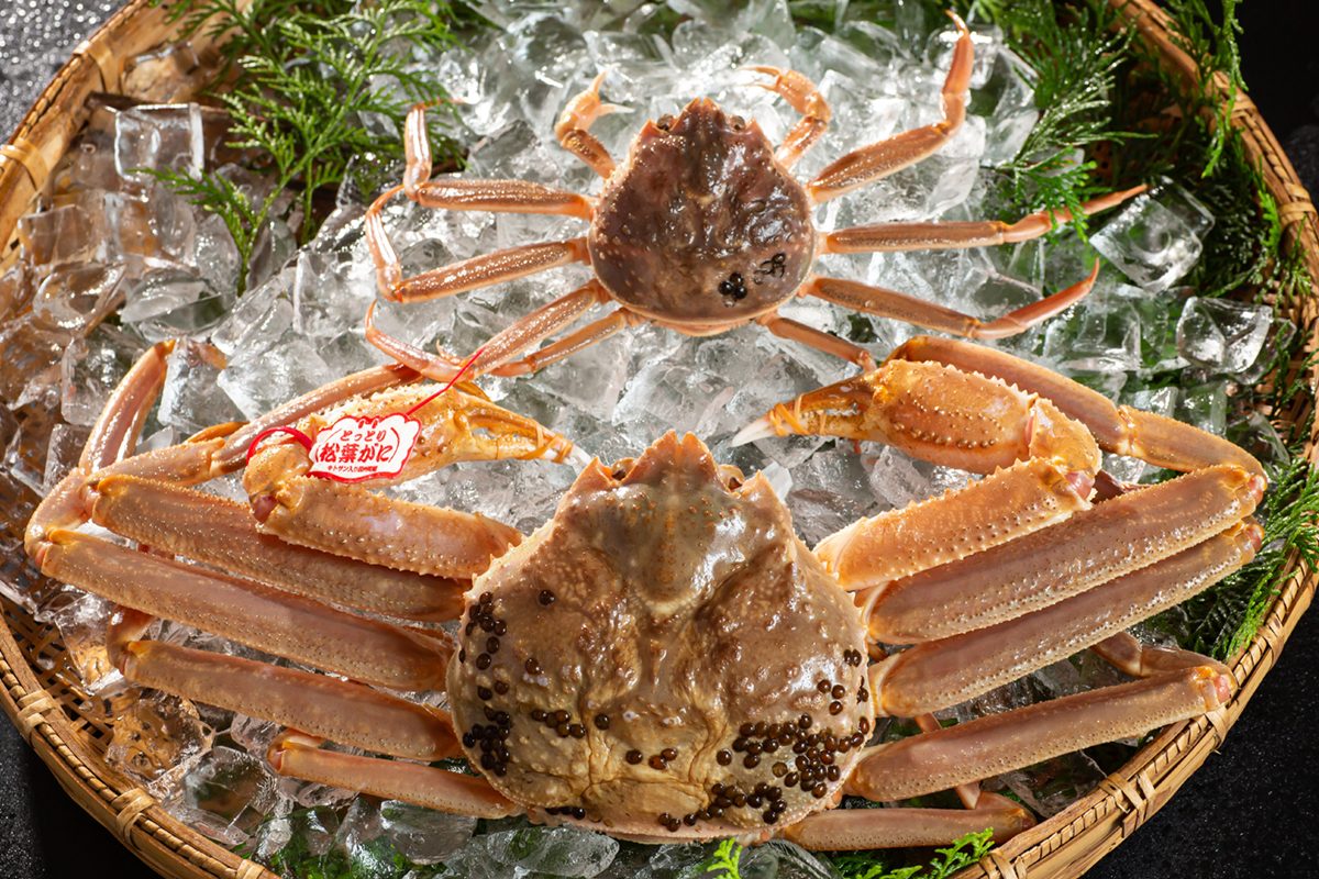 🦀蟹についての雑学・豆知識ふるさと産直村