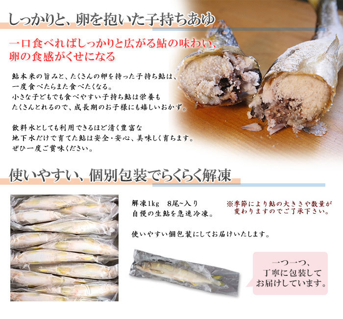 極限まで「鮎を美味しく冷凍する」〜冷凍保存法を突き詰める〜まっちゃんの鮎すがら