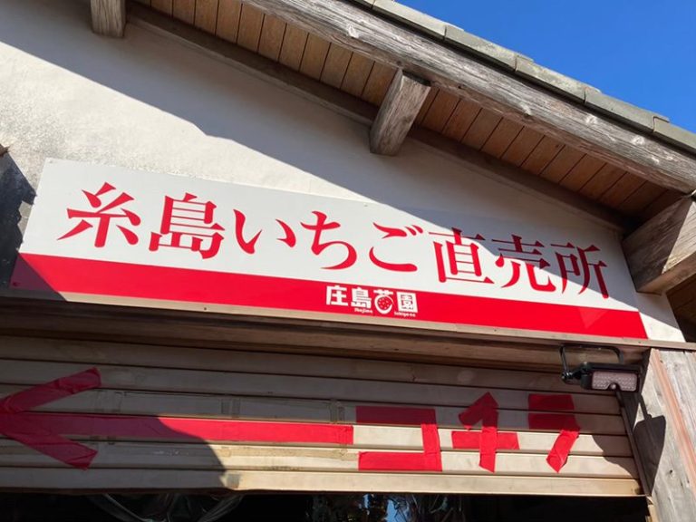 イチゴは「農園の直売」が美味しい！ 採れたての甘さとジューシーさにびっくり♪8ｆarm 島根県安来市 出雲テラスエポラコラムサイト