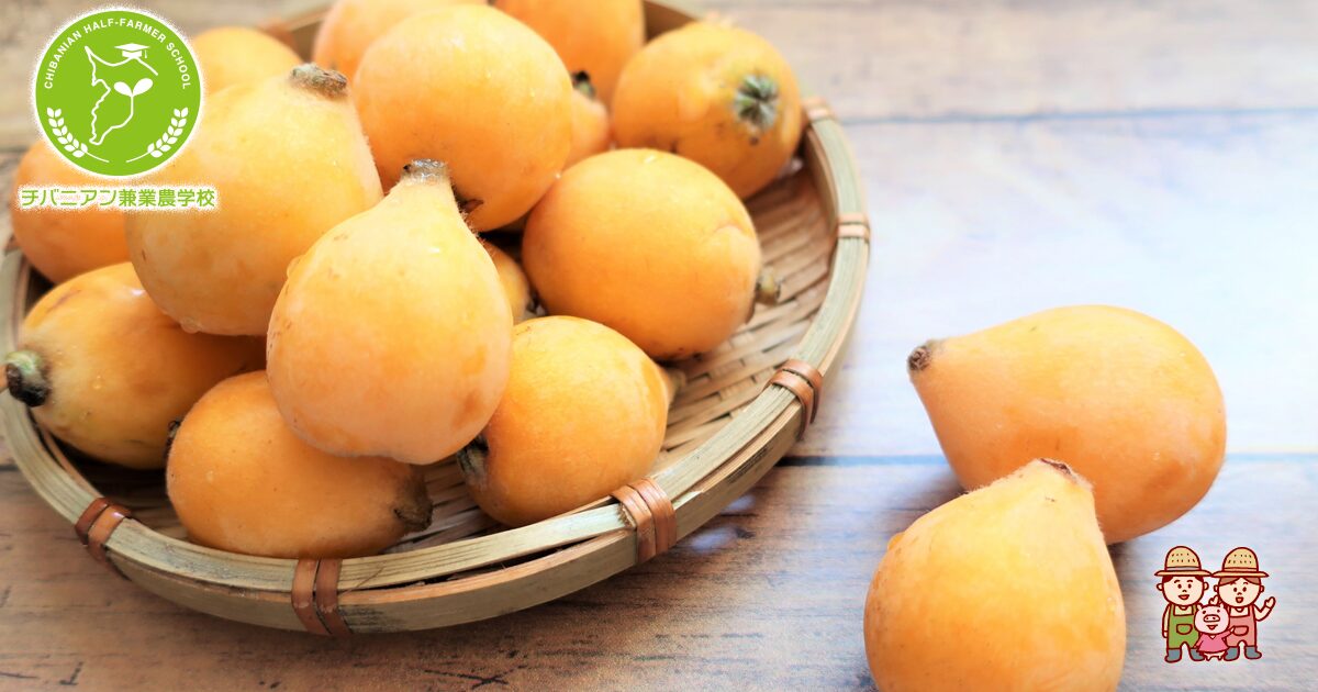 つるん♪簡単気持ち良い枇杷の剥き方