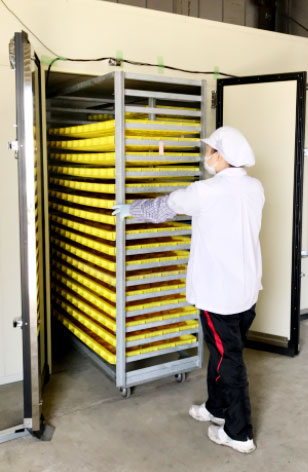 平面型乾燥機 穀物 大豆 さつまいも