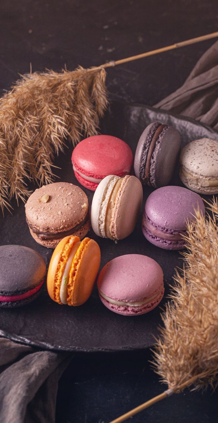 楽天市場 お菓子 ギフト ありがとうございまスイーツ マカロン 3個入り 個包装かわいい お菓子 スイーツ 詰め合わせ 誕生日 プレゼントおもしろい ダジャレ ジョーク おしゃれ イラスト 動物 アニマル プチギフト 子供 女性 お返し お礼 七五三 : 日本ロイヤル