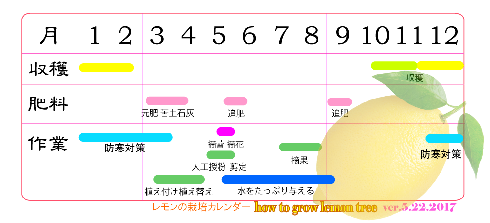 レモンの育て方ヤサシイエンゲイ