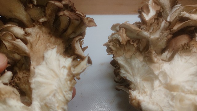 板前レシピ 舞茸 まいたけ の下ごしらえ 食べ方 - ちっぴぃクッキング