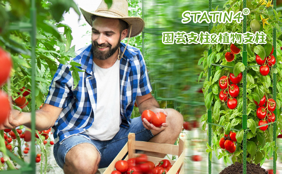 支柱トマトを育てるのに最適！プランターで使える人気のおすすめランキングわたしと、暮らし