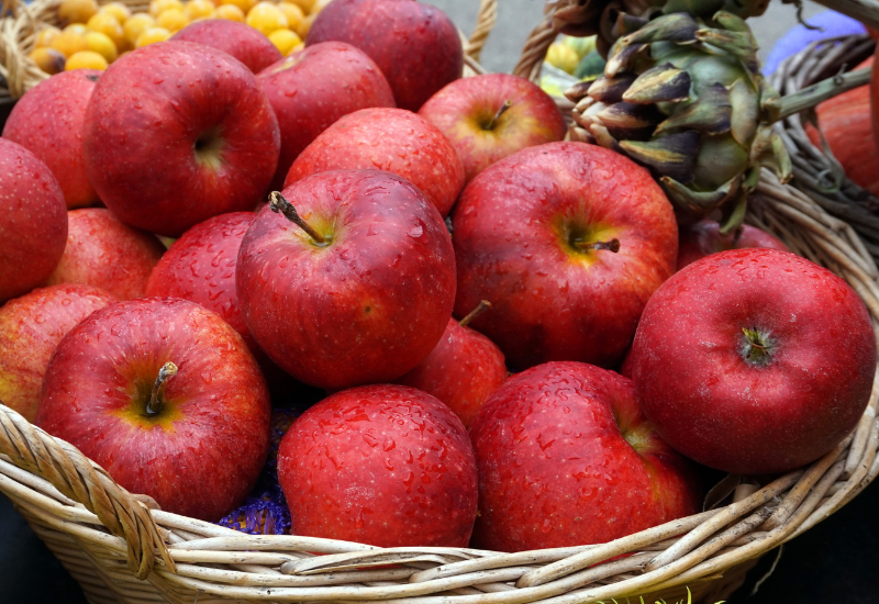 フユイチゴ 冬苺 」 バラ科 - ひげ爺さんのお散歩日記