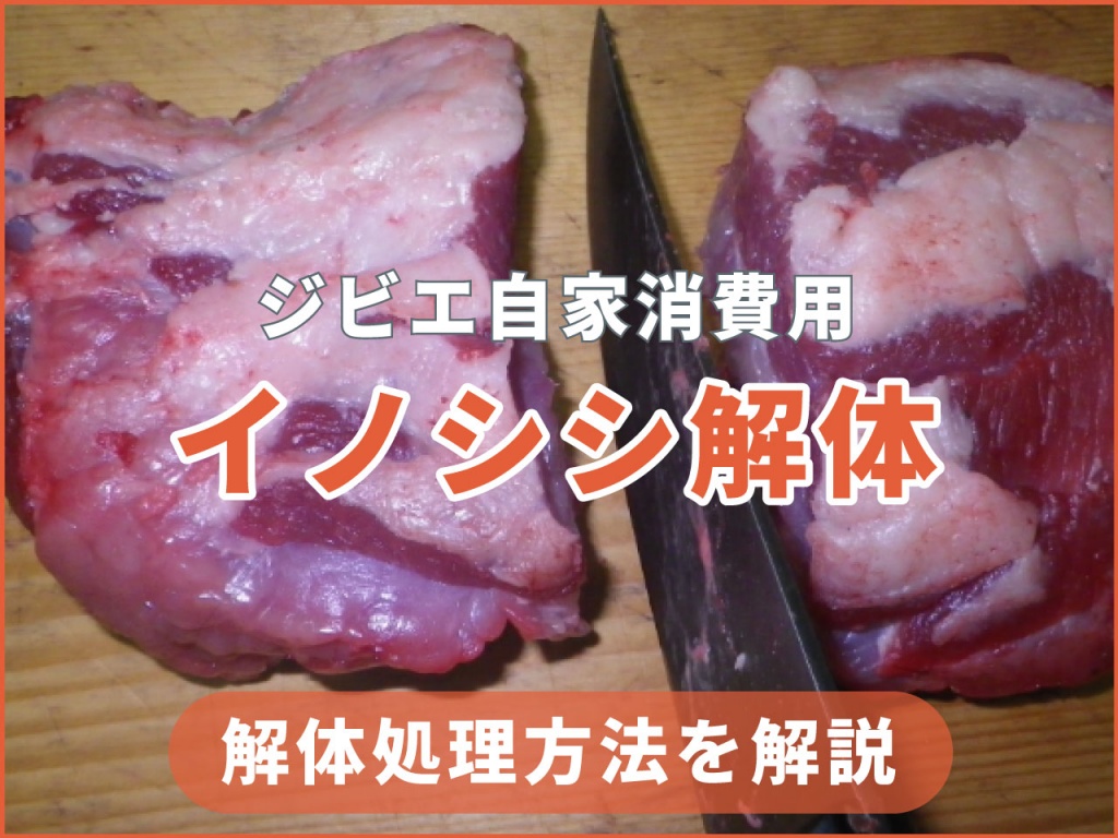 楽天市場 国産天然 琉球イノシシ肉 ロース スライス 300ｇ : きゅらしま館