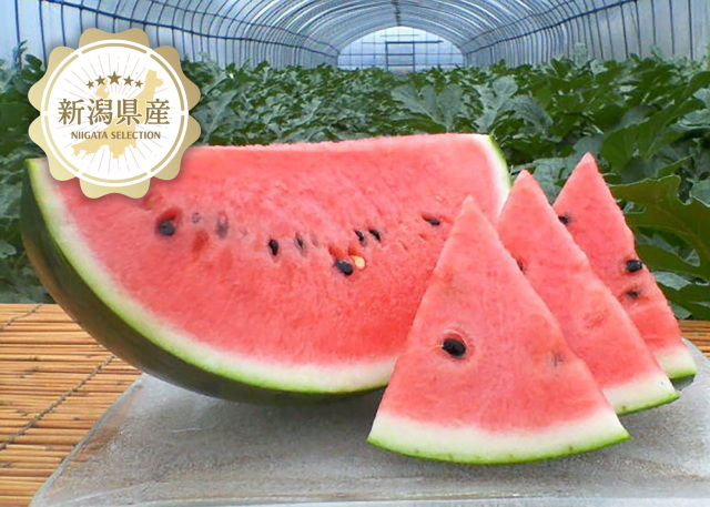 南浜産大玉スイカキラキラマーケット