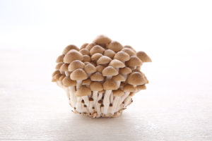 しめじ 本しめじ とぶなしめじの違いを簡単解説！比較してわかる選び方ガイド食ノート