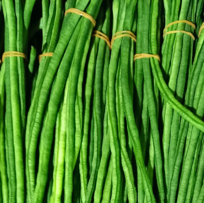 大冷 いんげん Ｍ ブルーレイク種 タイ産冷凍 500gフーヅフリッジ UCC運営の業務用食品食材の仕入れ通販サイト