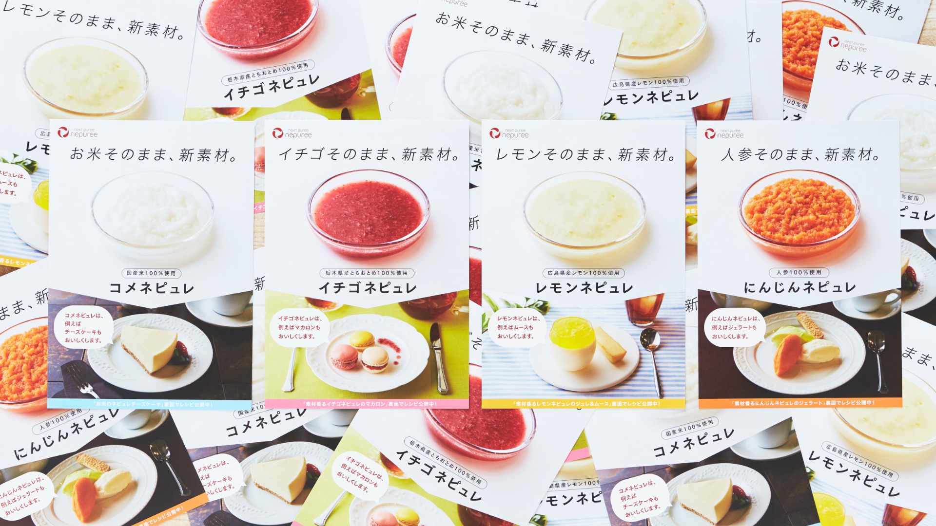 作成例 パンフレットデザイン北九州市 デザイン作成・印刷 ウェイブ