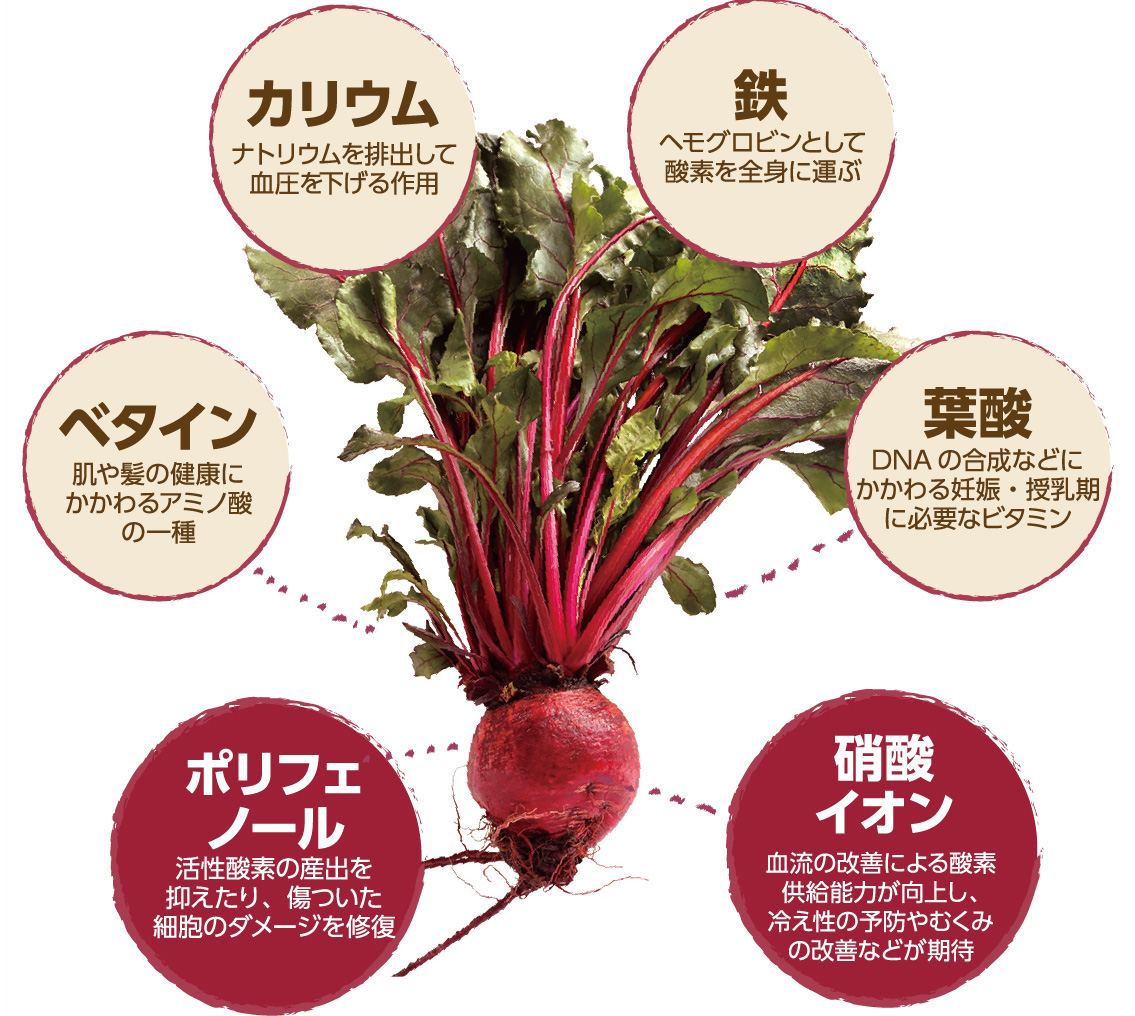 ビーツの下処理&保存☆ビーツの葉も♪