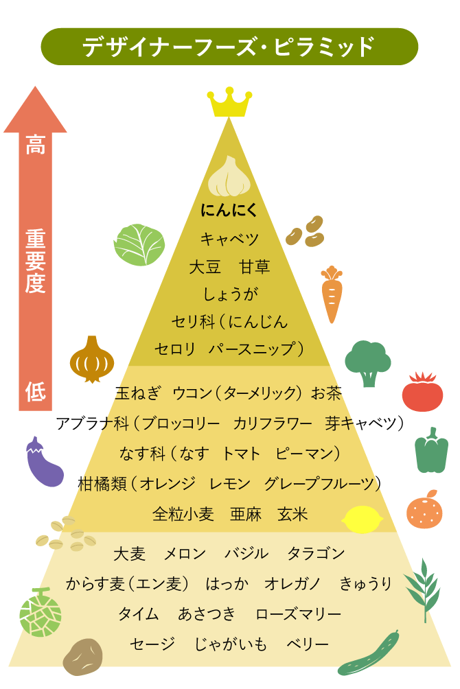 ベクター インフォ グラフィック ヘルシーフード ピラミッド、毎日栄養システム、タンパク質炭水化物、脂肪ベースの食事、バランスの取れた食事のコンセプトのイラスト素材・ベクターImage 63225355