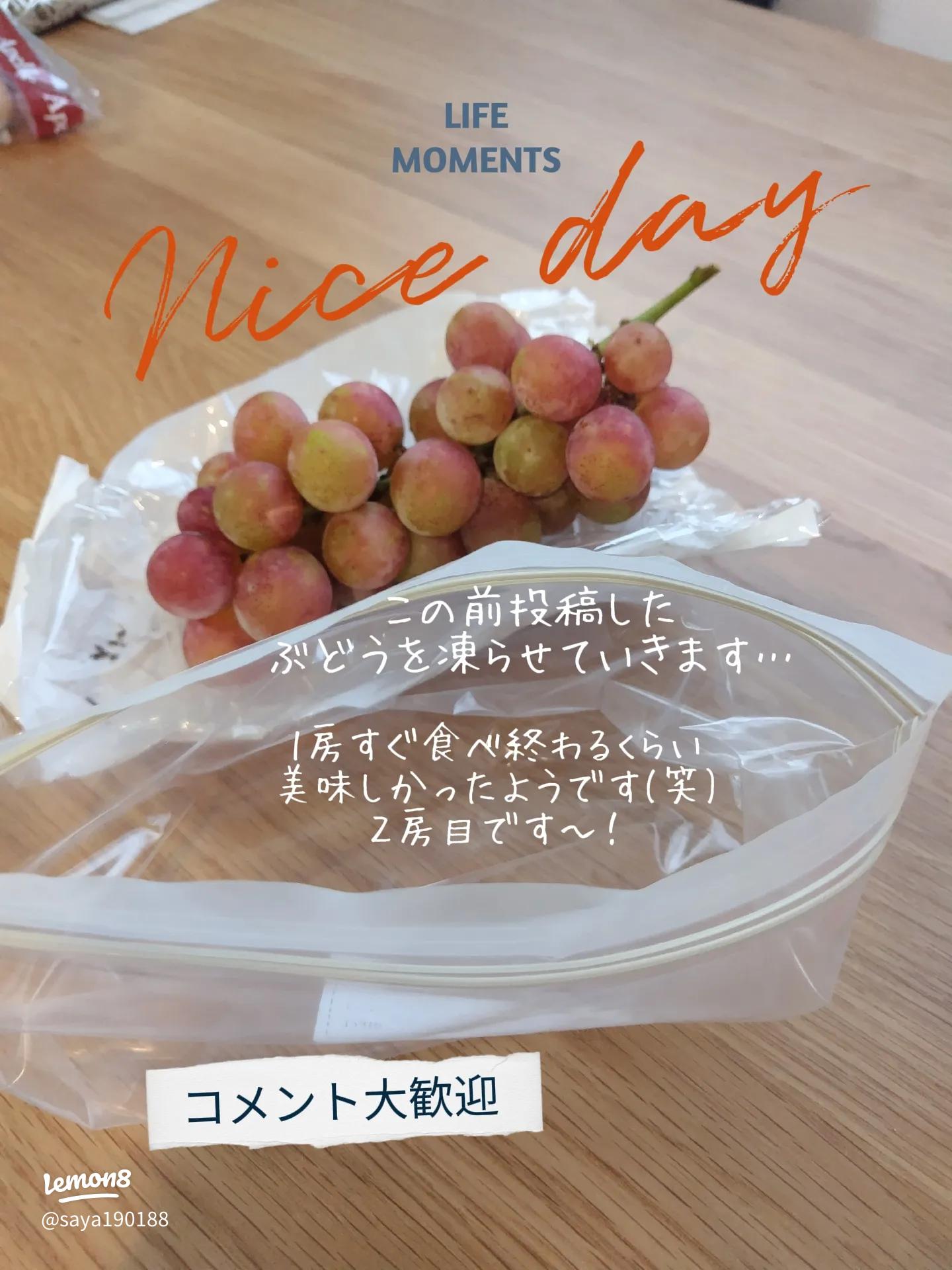 ぶどうの冷凍方法と解凍のコツ！おいしさを長持ちさせるテクニックぶどうのおいしさを全国にお届けNini farm ニニ ファーム